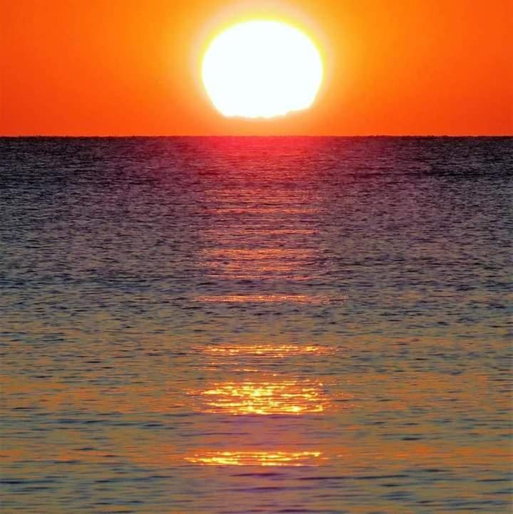 Hotel B&B Rispescia Grosseto Экстерьер фото