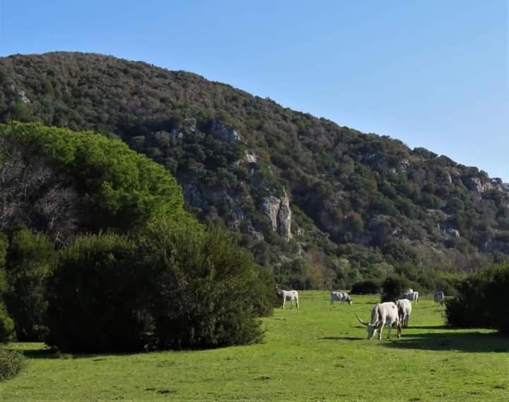 Hotel B&B Rispescia Grosseto Экстерьер фото
