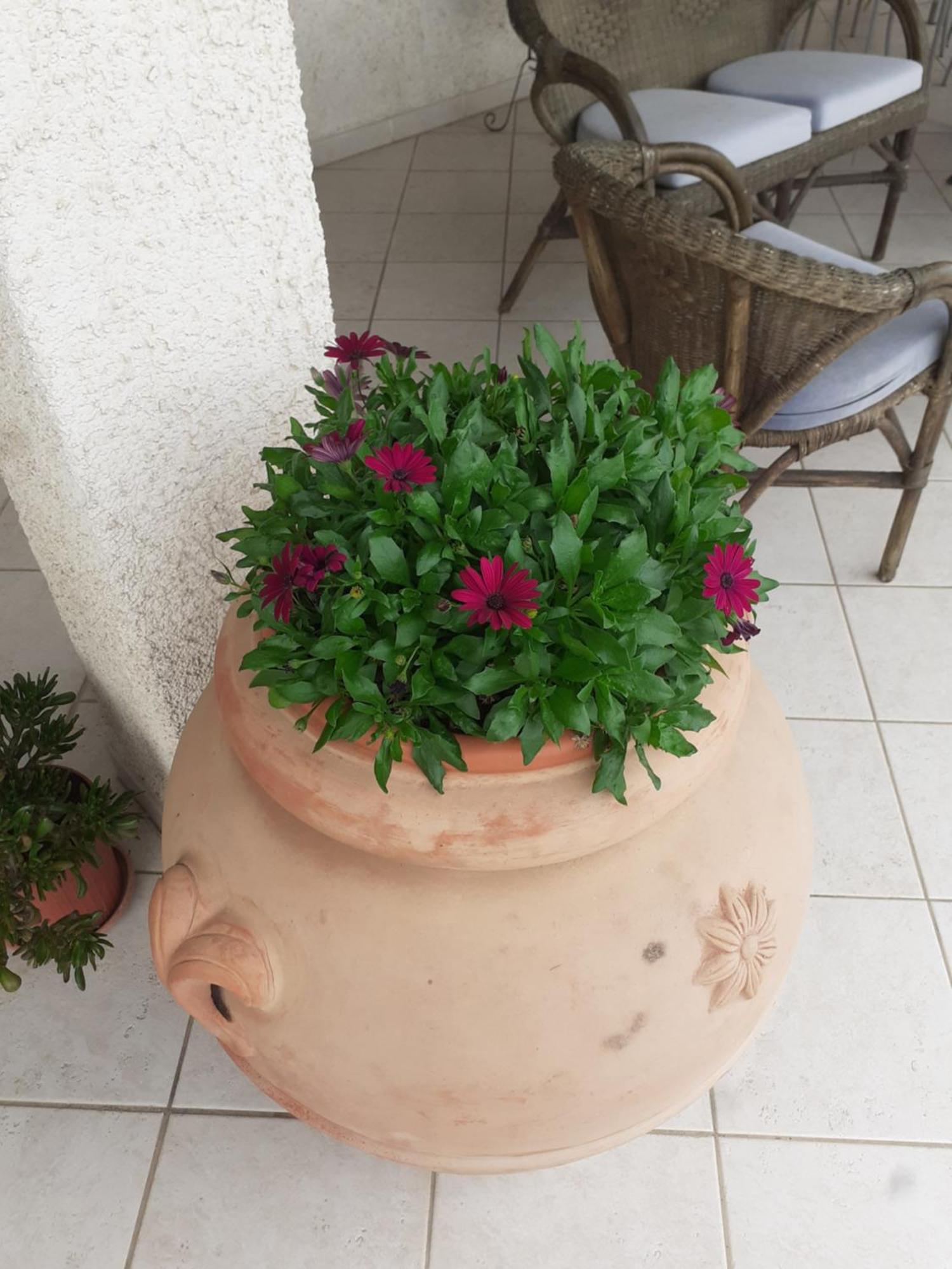 Hotel B&B Rispescia Grosseto Экстерьер фото