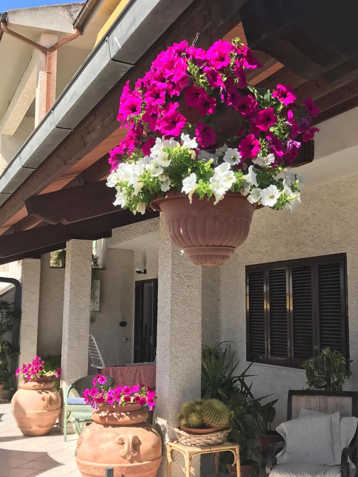 Hotel B&B Rispescia Grosseto Экстерьер фото