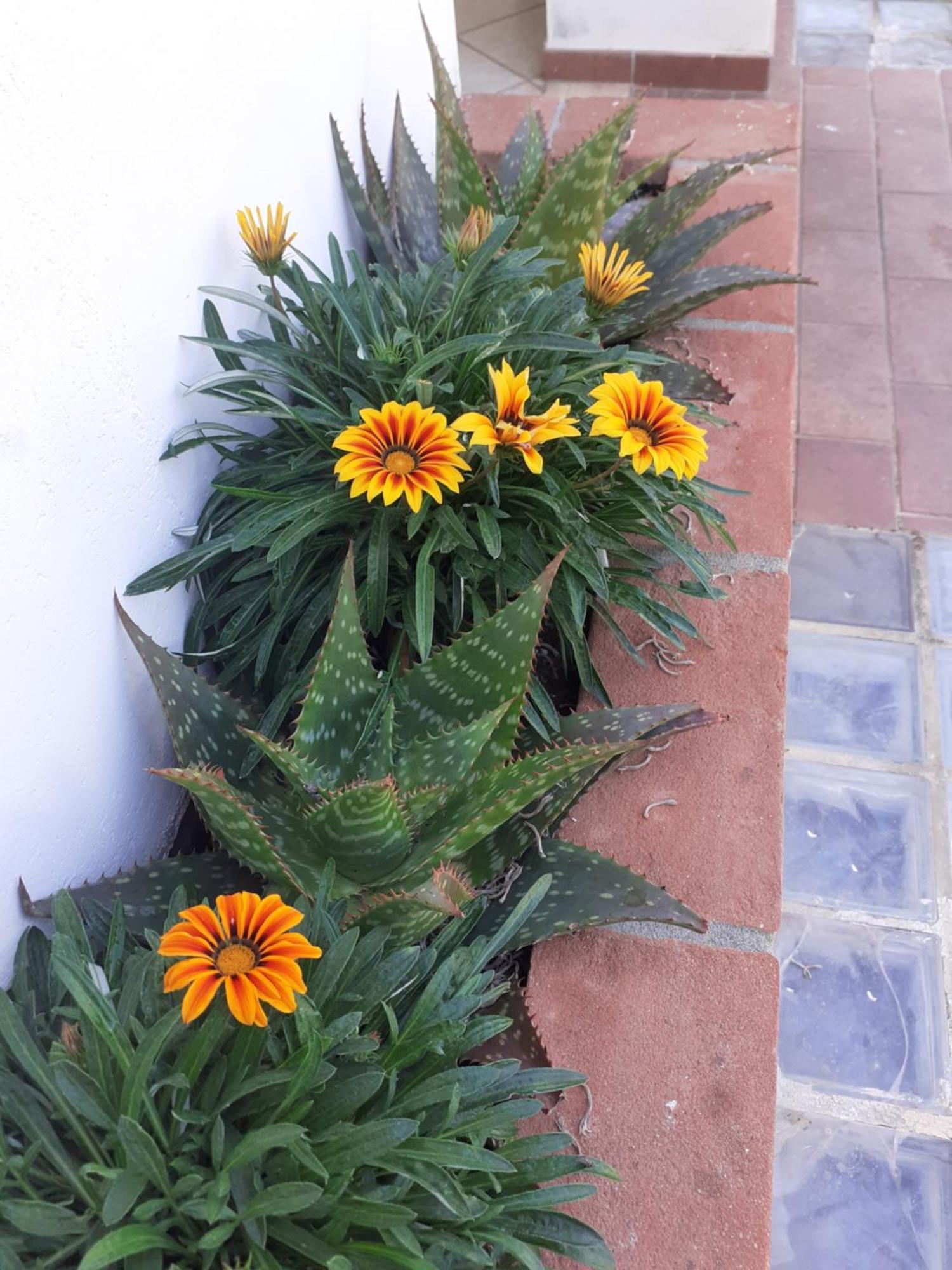 Hotel B&B Rispescia Grosseto Экстерьер фото