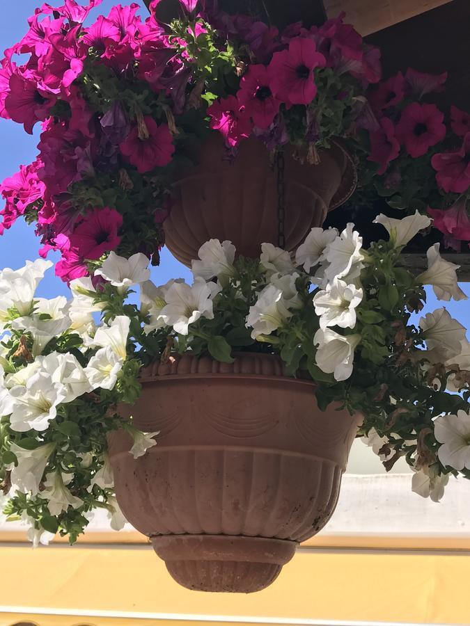 Hotel B&B Rispescia Grosseto Экстерьер фото